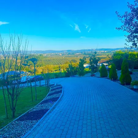 Alto Do Moinho * Alcobaça