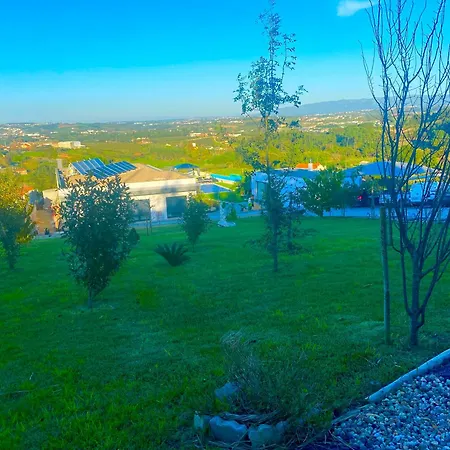 Alto Do Moinho * Alcobaça