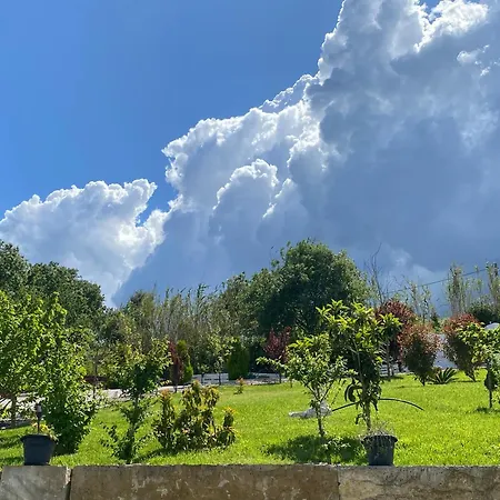 Alto Do Moinho Alcobaca
